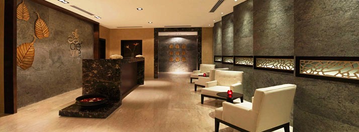 809/Hilton - Jaipur 17.jpg